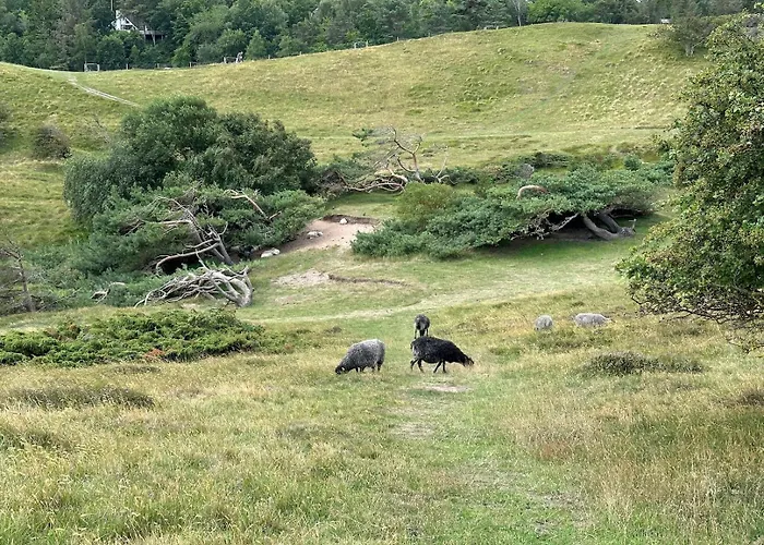 Stunning Danish With Nordic Charm Ferienhaus Vejby